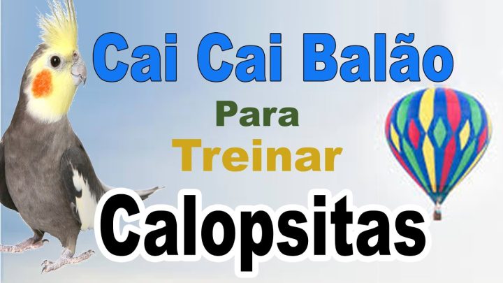 balÃo - Assobio cai cai balão para calopsita - treinamento de calopsita