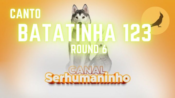 batatinha - Sons de Calopsita Batatinha 123 Round 6