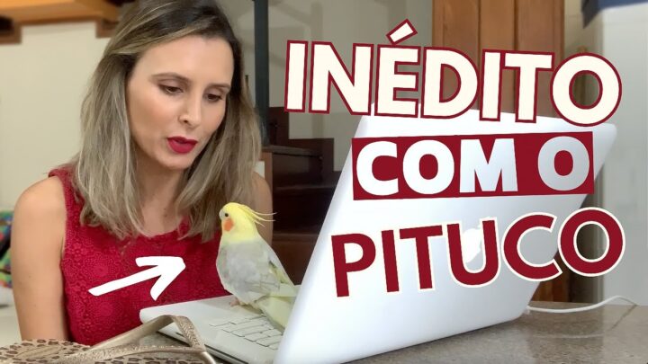 noÇÃo - RESPONDENDO COMENTÁRIOS SEM NOÇÃO - COM O PITUCO!!!