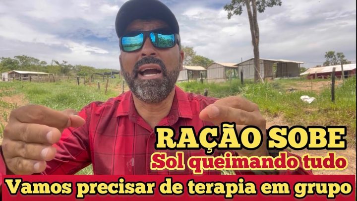 terapia - VAMOS FAZER UMA TERAPIA EM GRUPO | É DISSO PRECISAMOS | O SOL TÁ QUEIMANDO NOSSAS LAVOURAS