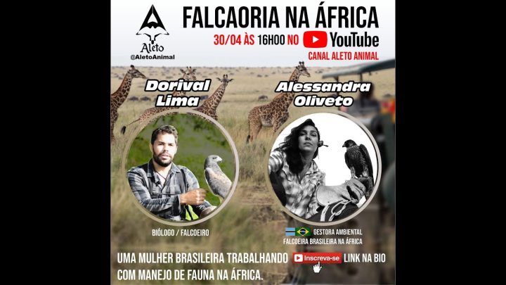 animal - LIVE! Falcoaria na África | DORIVAL LIMA - ALETO ANIMAL