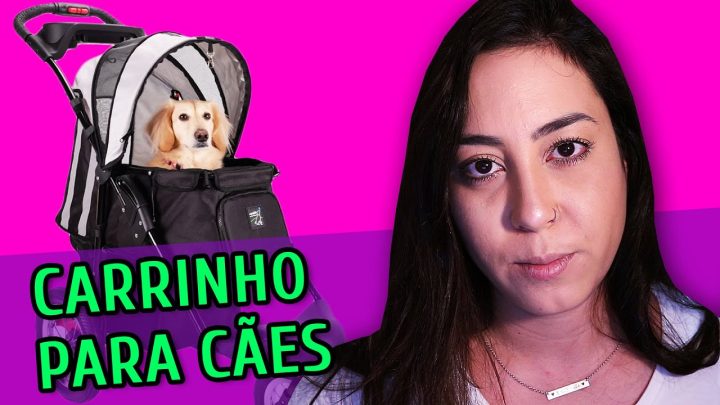 cães - CARRINHO PARA CACHORRO É UMA BOA IDEIA?