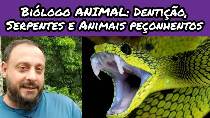 dentição - Tipo de Dentição de SERPENTES. Aula 2. | Biólogo das Serpentes