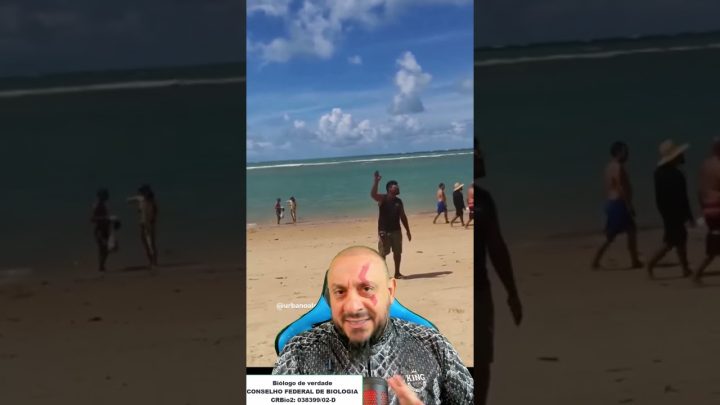 adestrada - Perdeu calopsita adestrada na praia?