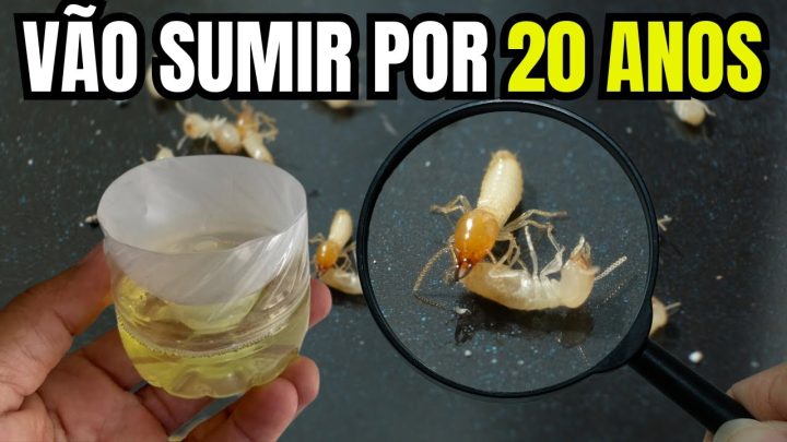 sumirem - Isso faz CUPINS E BROCAS Sumirem para Sempre