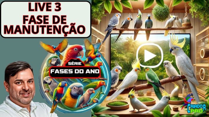 fase - LIVE 3 FASE DE MANUTENÇÃO - MANTENDO A SAÚDE E BEM ESTAR DENTRO DO CRIATÓRIO