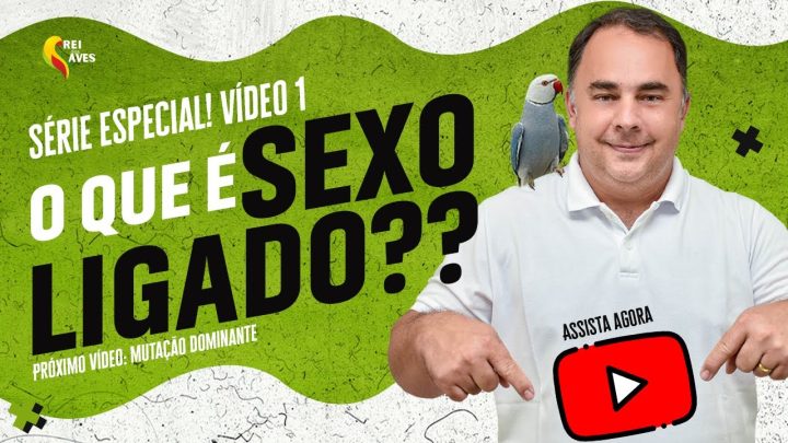 explicada: - Genética de aves explicada: sexo ligado