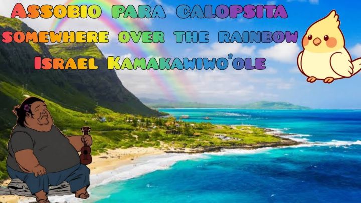 kamakawiwo’ole - Canto para ensinar calopsita - somewhere over the rainbow - Israel Kamakawiwo'ole - canto havaiano