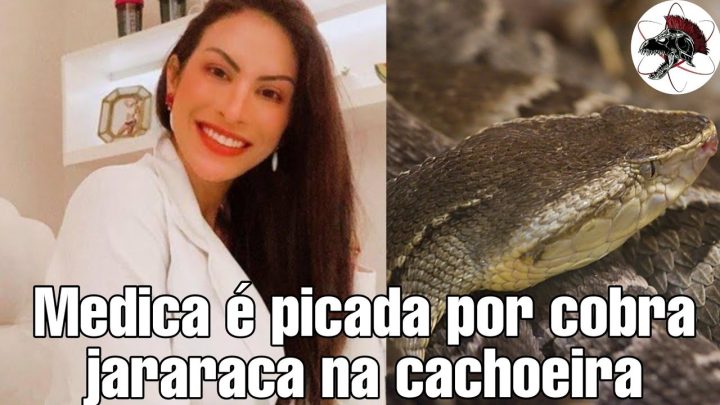 médica - Médica é picada por cobra na cachoeira | Biólogo Henrique o Biólogo das Cobras