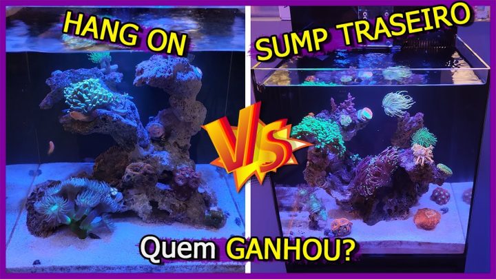 traseiro, - Aquário Marinho de Hang On Vs Sump Traseiro! - Quem GANHOU?!