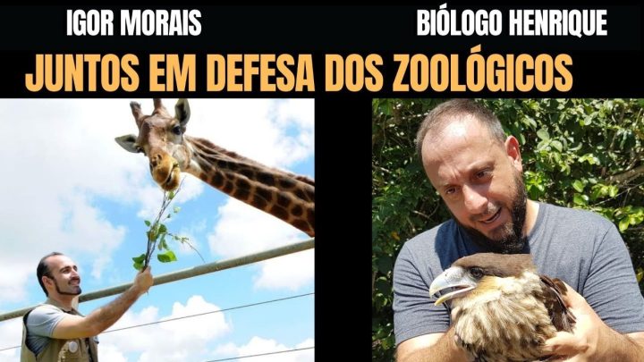 zoológicos - Igor Morais e Biólogo Henrique em defesa dos zoológicos