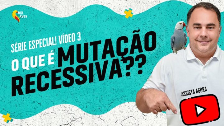 explicada: - Genética de aves explicada: mutação recessiva