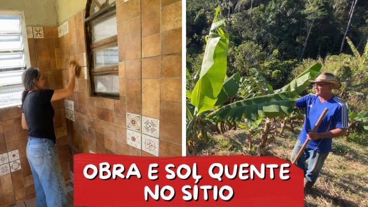 sÍtio?/cafezal, - COMO ANDA A OBRA NO SÍTIO?/CAFEZAL, BANANAL E JARDINAGEM/ Bora pra Roça?