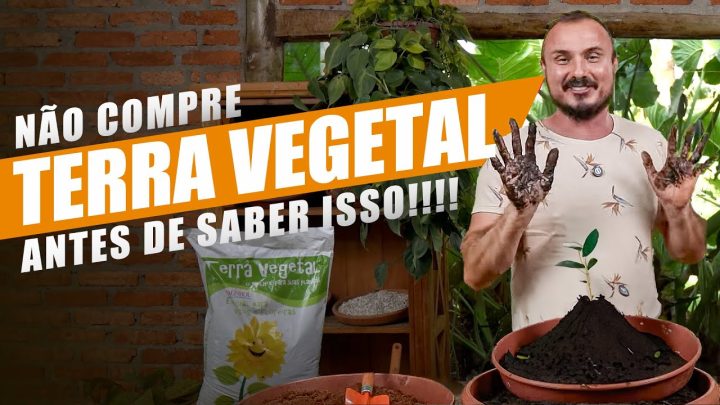 vegetal - TERRA VEGETAL: Qual a melhor para CULTIVAR suas PLANTAS