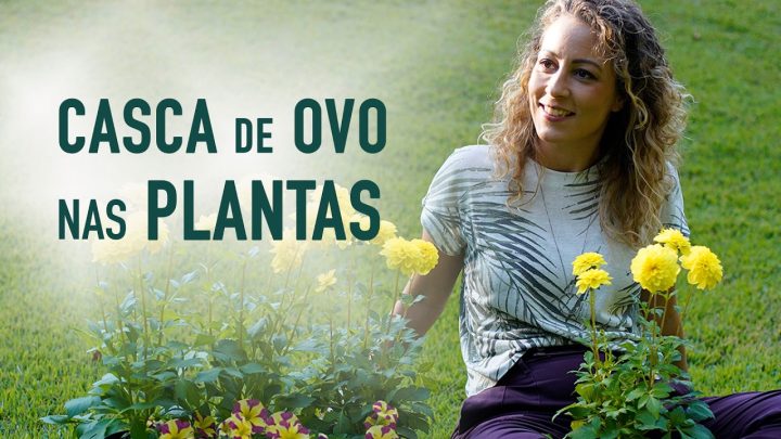 ovo? - DESCUBRA o SEGREDO das PLANTAS FELIZES com CASCA de OVO