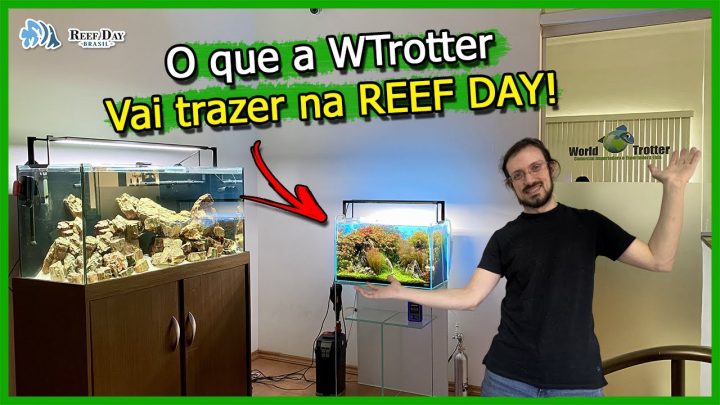 Aquarismo marinho e doce - Tudo que a WTrotter vai trazer na REEF DAY Brasil 2024!