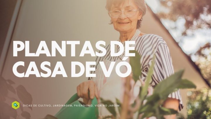 Dicas de Jardinagem - PLANTAS DE CASA DE VÓ