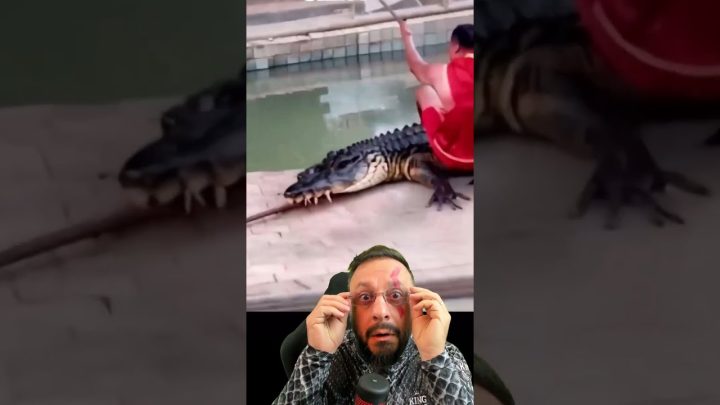 raimundo - Beijou o crocodilo, que virou moto. Explicando sonho de Raimundo Neto. HUMOR ANIMAL com o Biólogo