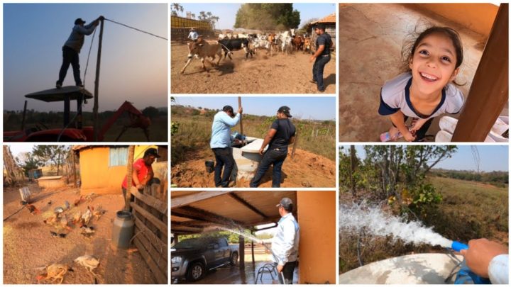 (com - FAZENDO A INSTALAÇÃO ELÉTRICA E O ENCANAMENTO NA CISTERNA NOVA DA FAZENDA| MEXENDO COM GADO