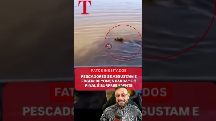 #barco - Onça parda nadando em direção ao barco de pescadores?