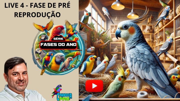 fase - Vídeo 4: Fase Pré-Reprodução -Preparação para a Reprodução: Planejamento e Cuidados