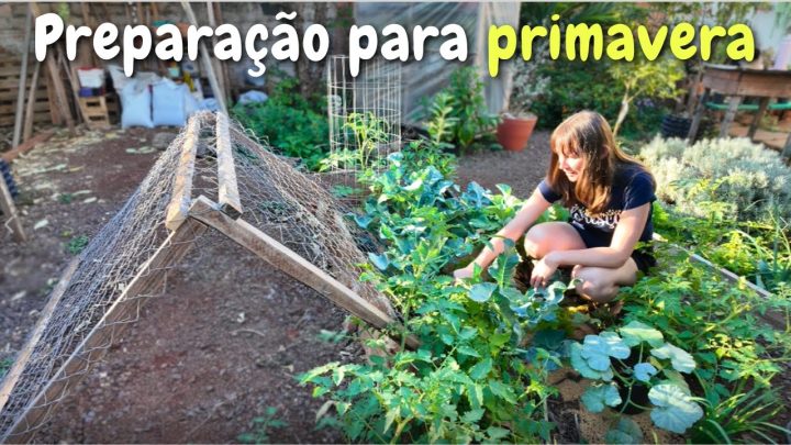 Hortas sustentáveis - Como Planejar e Preparar a Horta para a Primavera | Transplante, Suportes e Proteção contra o Calor