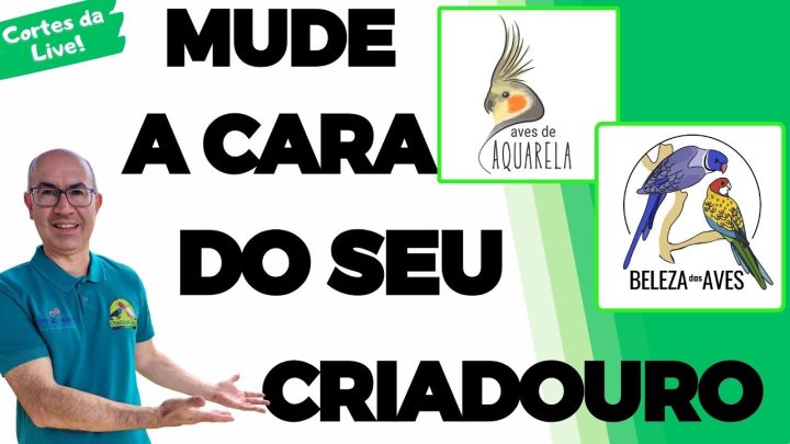 Tudo sobre aves - MUDANDO A CARA DO CRIADOURO!!!