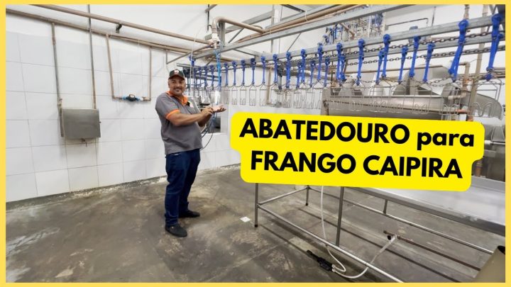 Criação de Galinhas - ABATEDOURO de PEQUENO PORTE para AVES CAIPIRAS