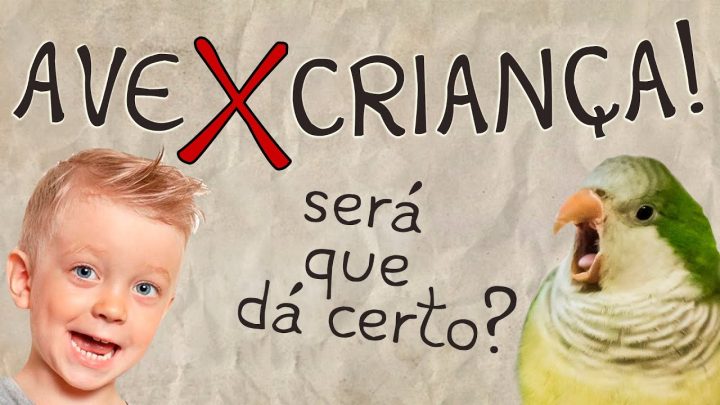 ave!!! - Ave X Criança!