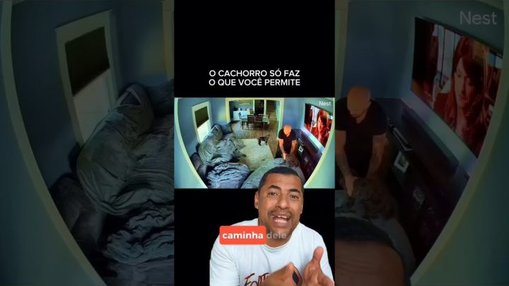 faz… - 🟡Fez cocô na cama.O cão só faz o que permitimos. Quer ter seu cão obediente? Me segue aqui