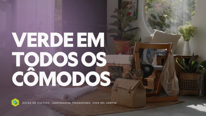 Dicas de Jardinagem - VERDE em TODOS os CÔMODOS - A PLANTA IDEAL para CADA ESPAÇO da SUA CASA