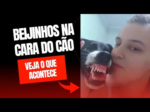 dos - 😳Se você gosta de dar beijinho na cara dos cães, CUIDADO!!!