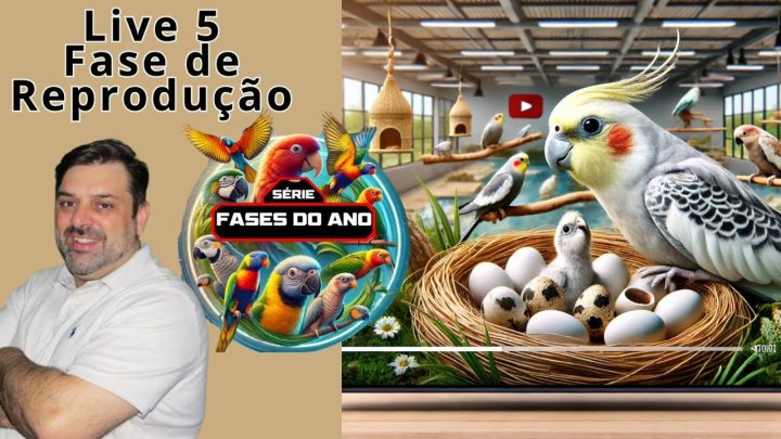 fase - live 5 - Fase de Reprodução- Sucesso na Reprodução: Estratégias e Técnicas Descrição: