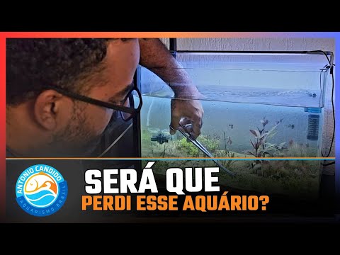 Aquarismo marinho e doce - TPA E CONTROLE DE ALGAS no aquário Plantado