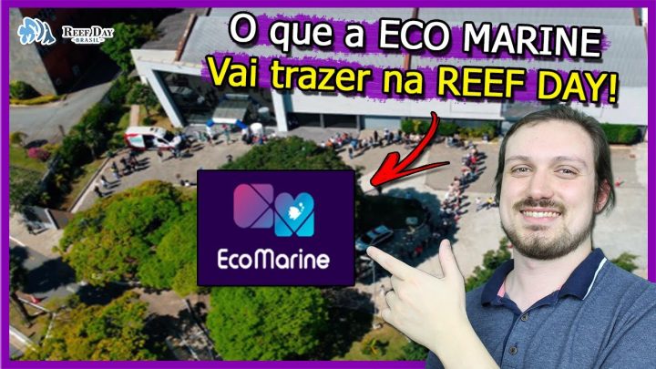 Aquarismo marinho e doce - Tudo que a ECO MARINE vai trazer na Reef Day Brasil 2024!